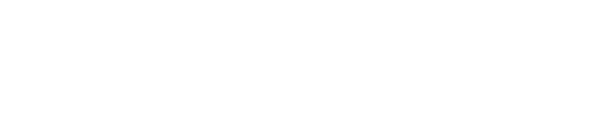 bav|guard Logo