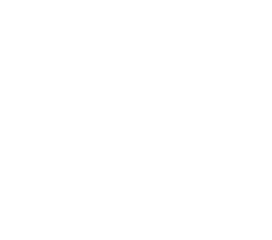 SYNOVUM Logo